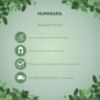 Picture of Numinara Isha Body Soap (100g)