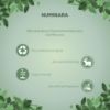 Picture of Numinara Isha Body Soap (100g)